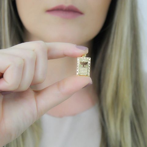 PIN139 (medidas aproximadas 2,5×1,3cm) Semijoia folheada a ouro 18k.Livre de níquel, com banho antialérgico que minimiza possíveis reações na pele, 01 ano de garantia.